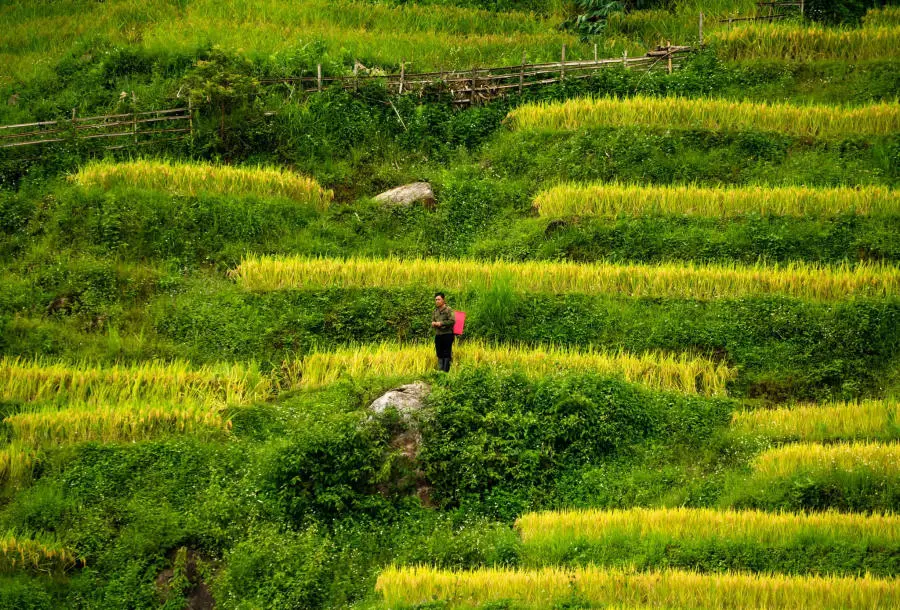 Đến Chợ phi&ecirc;n Y T&yacute; kh&aacute;m ph&aacute; sắc m&agrave;u v&ugrave;ng cao 2