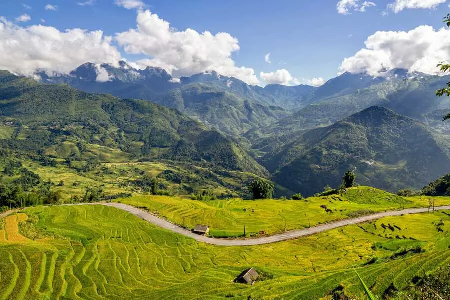 Một m&ugrave;a v&agrave;ng Y T&yacute; huyền ảo giữa đại ng&agrave;n T&acirc;y Bắc n&ecirc;n thơ 7