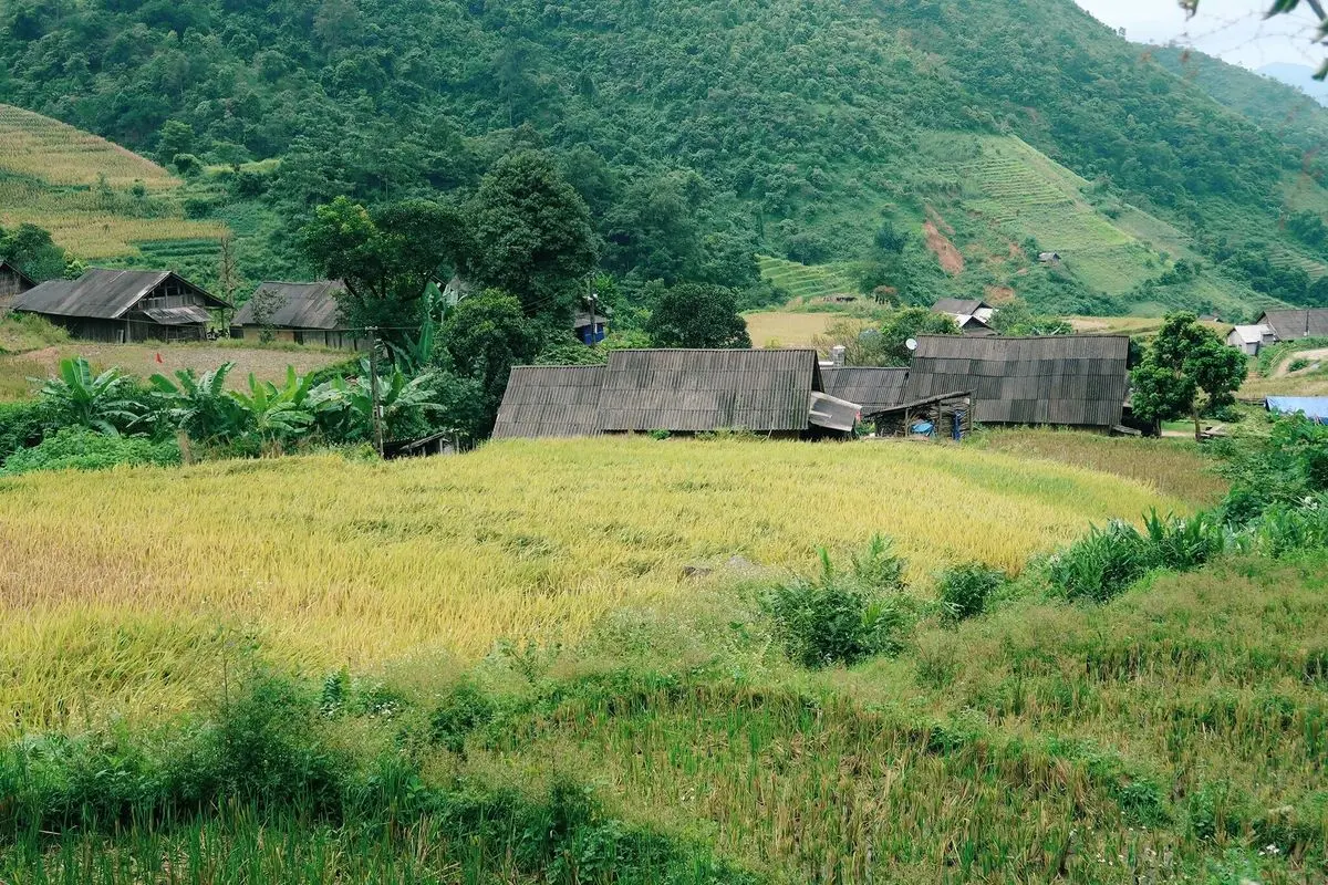 Ngẩn ngơ trước vẻ đẹp n&ecirc;n thơ chốn Simacai qua lời kể của c&ocirc; bạn Mavis Vi Vu K&yacute; 2