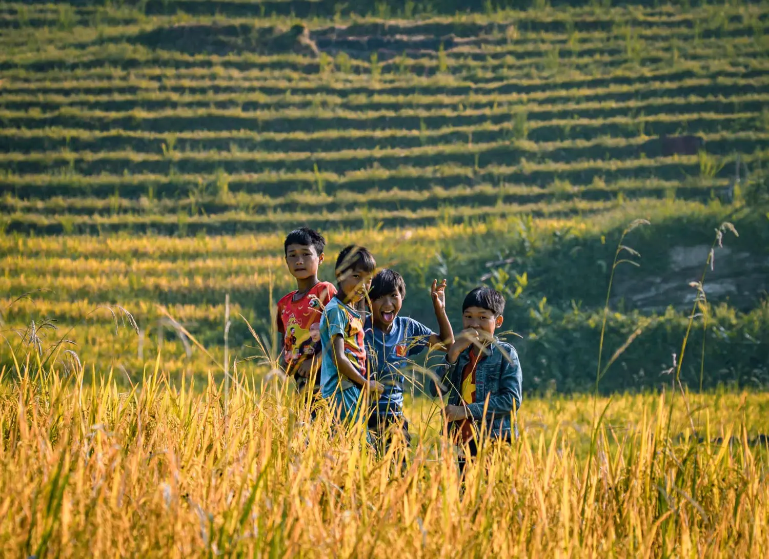 Săn M&ugrave;a v&agrave;ng Y T&yacute; c&ugrave;ng kẻ độc h&agrave;nh B&ugrave;i Ngọc C&ocirc;ng 4