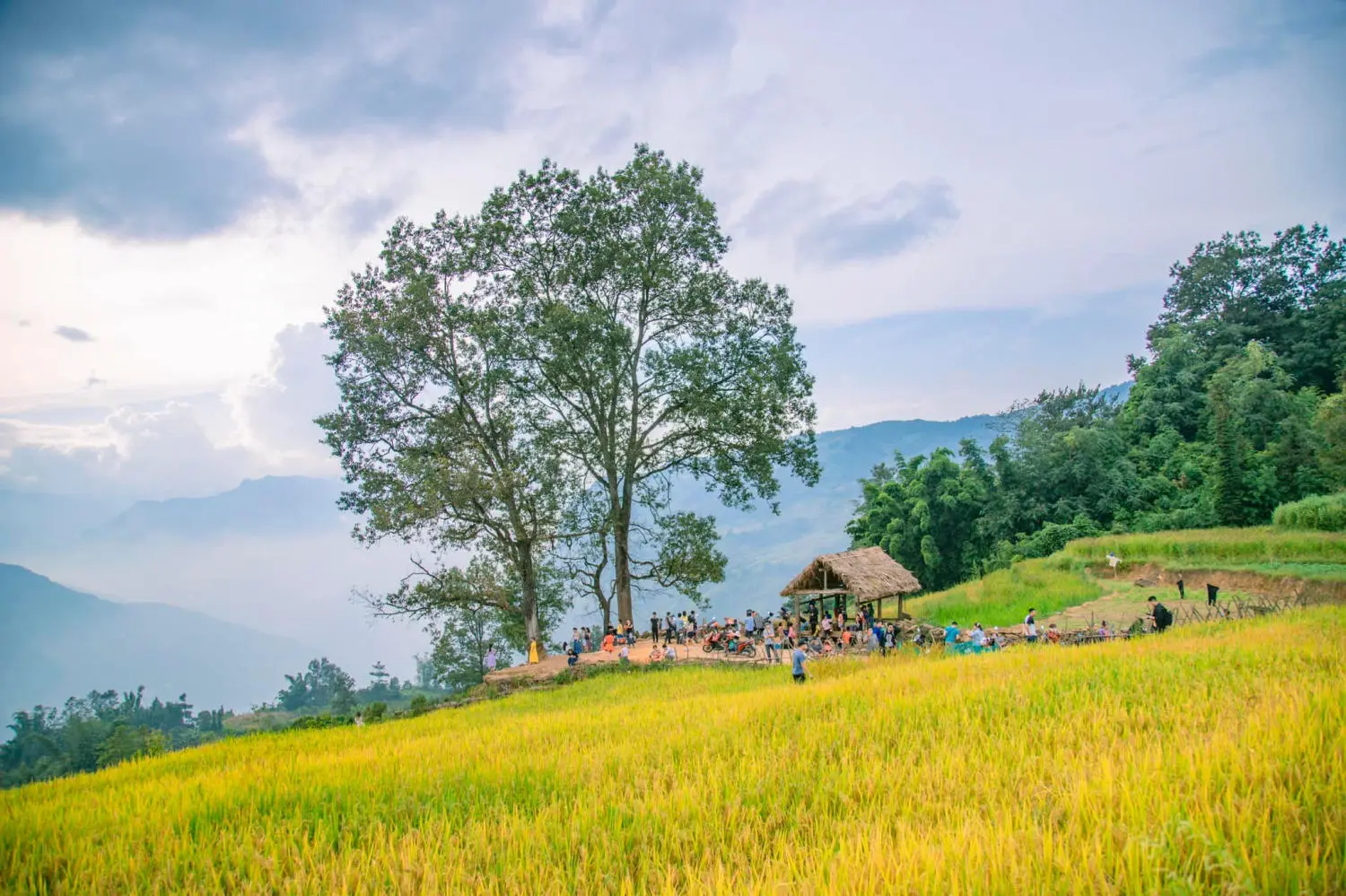 Săn M&ugrave;a v&agrave;ng Y T&yacute; c&ugrave;ng kẻ độc h&agrave;nh B&ugrave;i Ngọc C&ocirc;ng 7