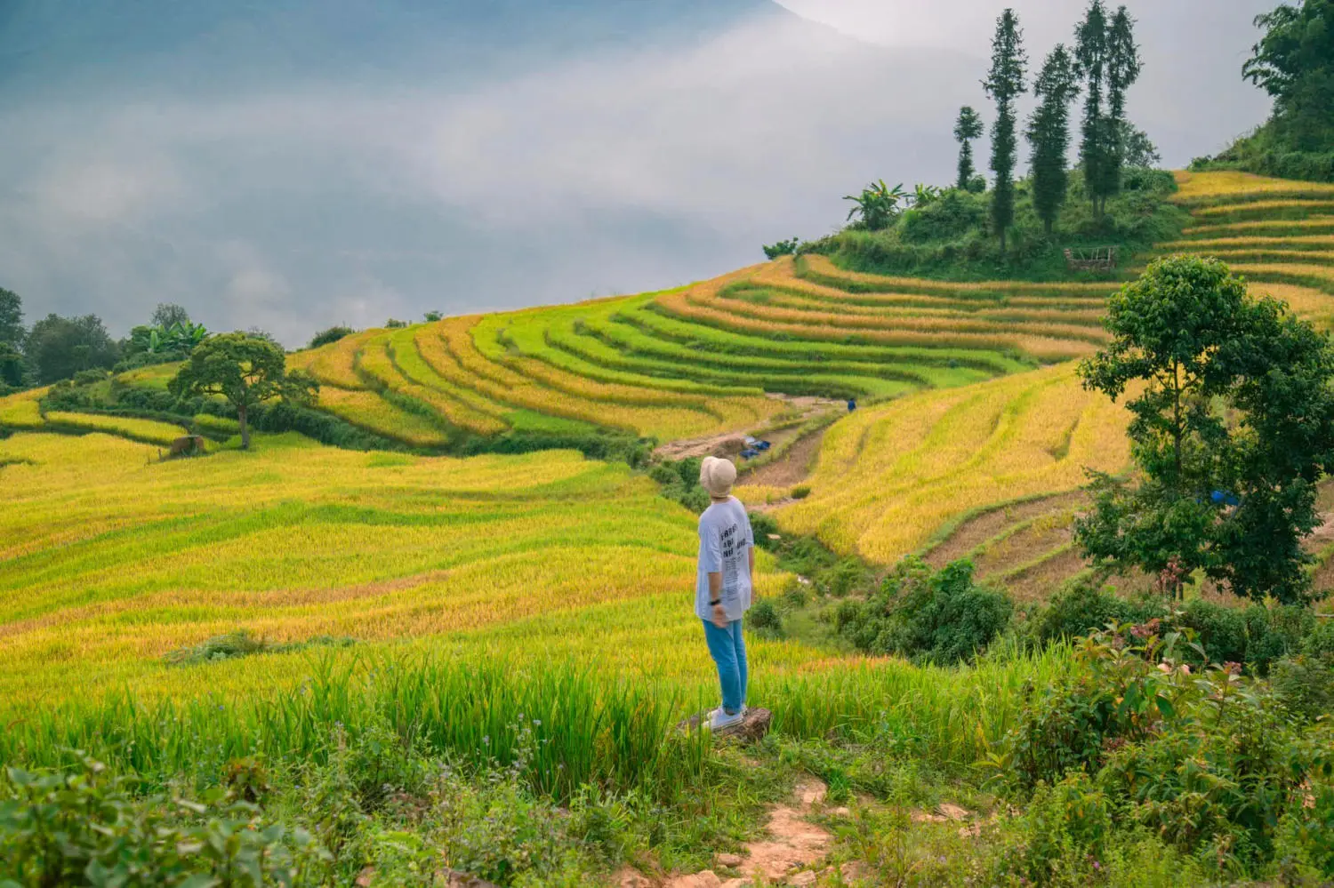 Săn M&ugrave;a v&agrave;ng Y T&yacute; c&ugrave;ng kẻ độc h&agrave;nh B&ugrave;i Ngọc C&ocirc;ng 8