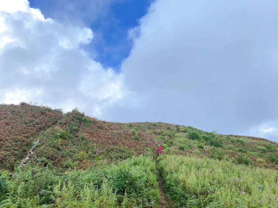 Trekking Lảo Thẩn săn biển m&acirc;y v&agrave; rừng hoa chi p&acirc;u đẹp tuyệt sắc 7