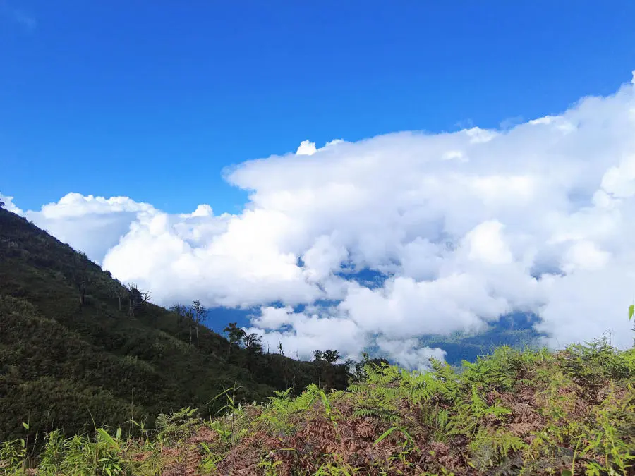 Trekking Lảo Thẩn săn biển m&acirc;y v&agrave; rừng hoa chi p&acirc;u đẹp tuyệt sắc 12