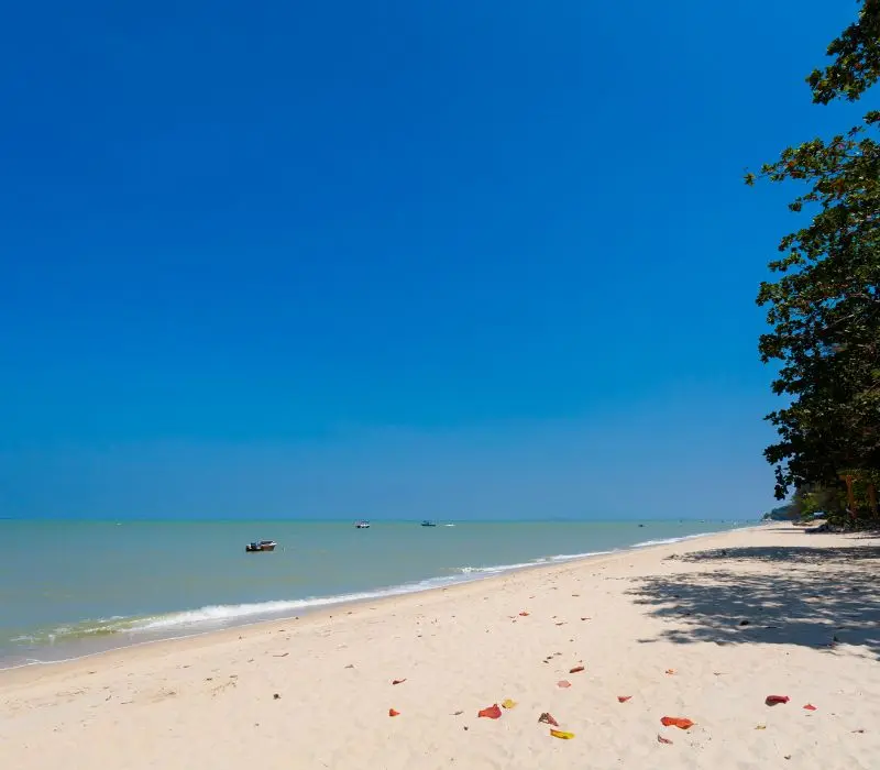 Batu Ferringhi: Thi&ecirc;n đường biển kh&ocirc;ng thể bỏ lỡ tại Malaysia 2