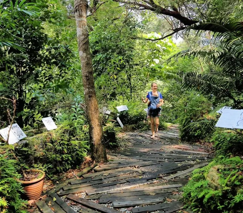 Batu Ferringhi: Thi&ecirc;n đường biển kh&ocirc;ng thể bỏ lỡ tại Malaysia 9