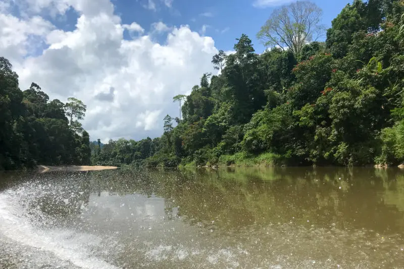 Chuyến thám hiểm tới Vườn quốc gia Taman Negara đầy bí ẩn 9
