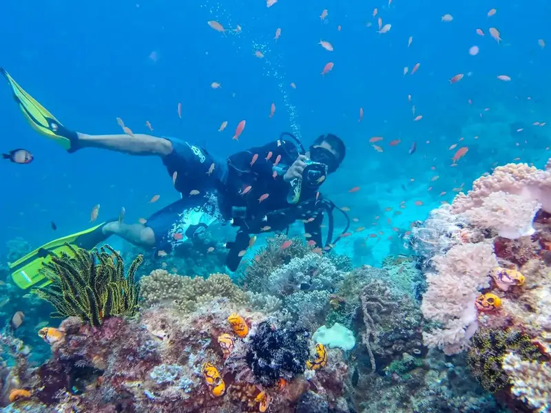 Khám phá đảo Tioman, thiên đường bình yên giữa lòng Malaysia 5