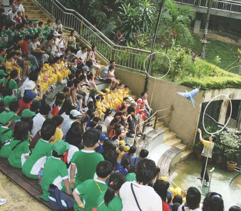 KL Bird Park, thi&ecirc;n đường chim mu&ocirc;ng ngay tại Kuala Lumpur 2