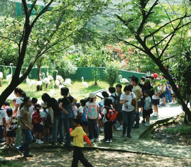 KL Bird Park, thi&ecirc;n đường chim mu&ocirc;ng ngay tại Kuala Lumpur 5