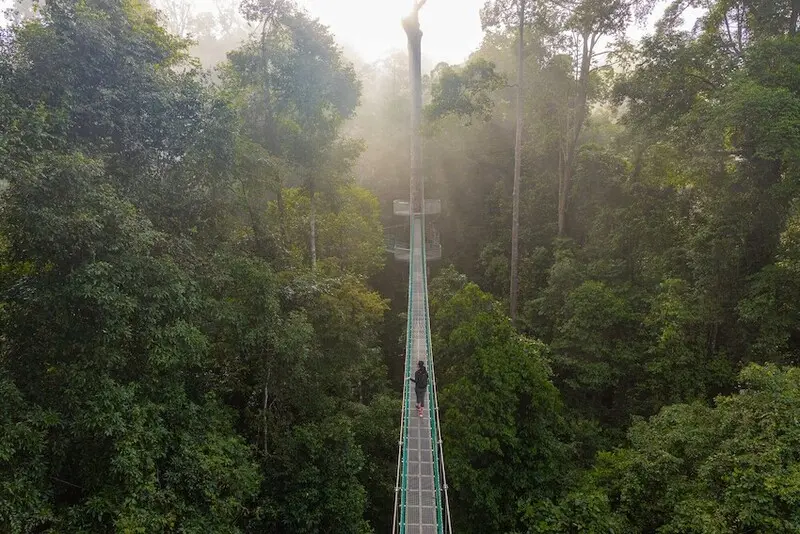 Sabah Malaysia v&ugrave;ng đất dưới gi&oacute; với thi&ecirc;n nhi&ecirc;n hoang sơ ấn tượng 9