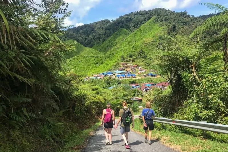 Về miền Cao nguyên Cameron khám phá thế giới thiên nhiên thanh bình 12