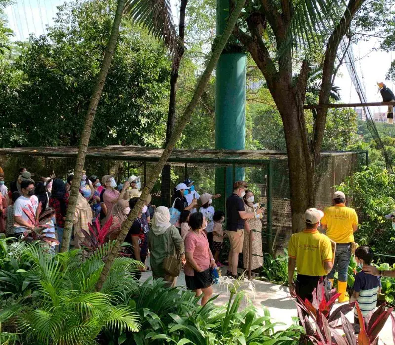 KL Bird Park, thiên đường chim muông ngay tại Kuala Lumpur