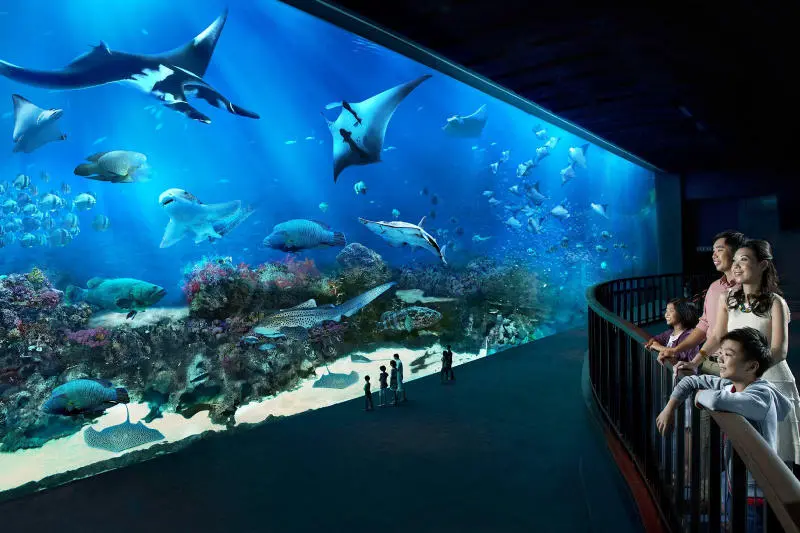 Gợi &yacute; lịch tr&igrave;nh du lịch Singapore Malaysia 5 ng&agrave;y 4 đ&ecirc;m 14