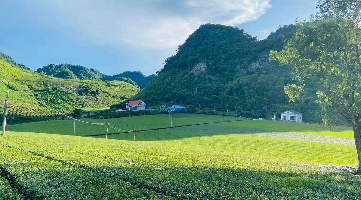 Chiềng Đi và những trải nghiệm thú vị, bạn có muốn một lần ghé đến?