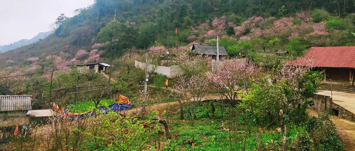 Có một Bản Lóng Luông với cảnh sắc thơ mộng khiến bao người thương nhớ