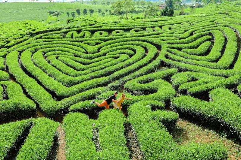 10 địa điểm du lịch Mộc Ch&acirc;u đẹp m&ecirc; mẩn l&ograve;ng người 6