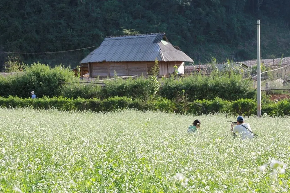 Bản Pa Ph&aacute;ch - Thi&ecirc;n đường hoa l&aacute; rợp trời giữa Mộc Ch&acirc;u thơ mộng 4