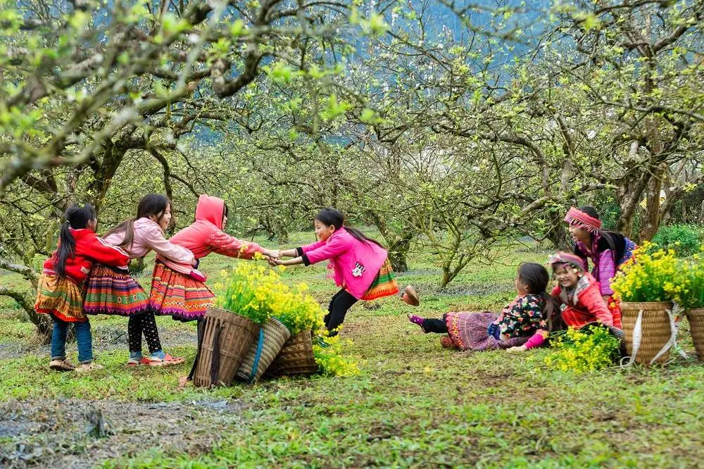 Bản Pa Ph&aacute;ch - Thi&ecirc;n đường hoa l&aacute; rợp trời giữa Mộc Ch&acirc;u thơ mộng 5