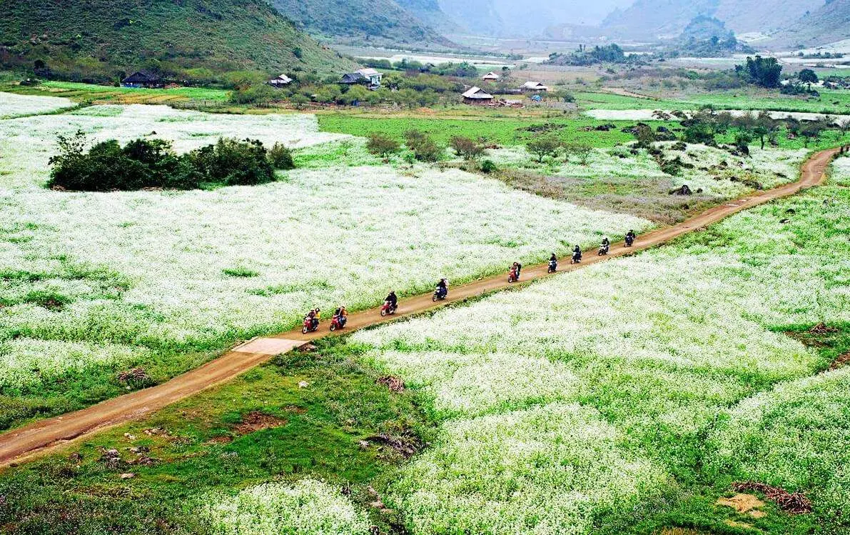 Bản Thung Cu&ocirc;ng - Ng&ocirc;i l&agrave;ng nhỏ b&eacute; giữa sườn đồi rộng lớn 2