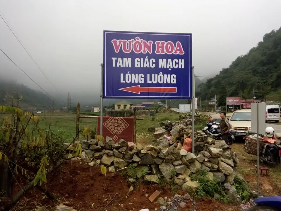 Bỗng chốc trở nên yêu đời khi đứng trước vườn hoa tam giác mạch Lóng Luông 3