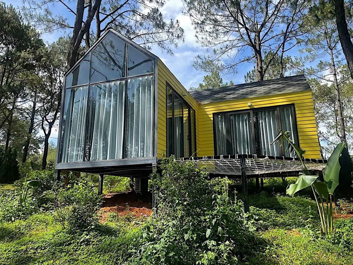 Chi&ecirc;m ngưỡng Rừng Th&ocirc;ng Bản &Aacute;ng tr&ecirc;n cao nguy&ecirc;n Mộc Ch&acirc;u đẹp tựa phim ảnh 10
