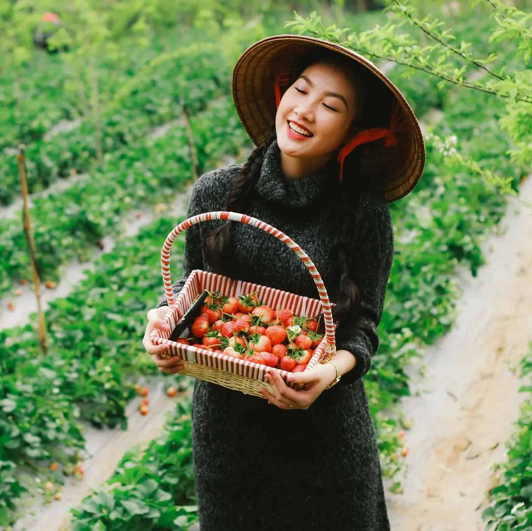 Chi&ecirc;m ngưỡng Rừng Th&ocirc;ng Bản &Aacute;ng tr&ecirc;n cao nguy&ecirc;n Mộc Ch&acirc;u đẹp tựa phim ảnh 8