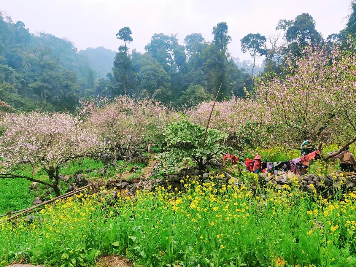C&oacute; một Bản L&oacute;ng Lu&ocirc;ng với cảnh sắc thơ mộng khiến bao người thương nhớ 4