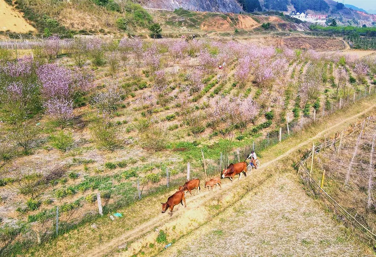 C&oacute; một Bản L&oacute;ng Lu&ocirc;ng với cảnh sắc thơ mộng khiến bao người thương nhớ 7