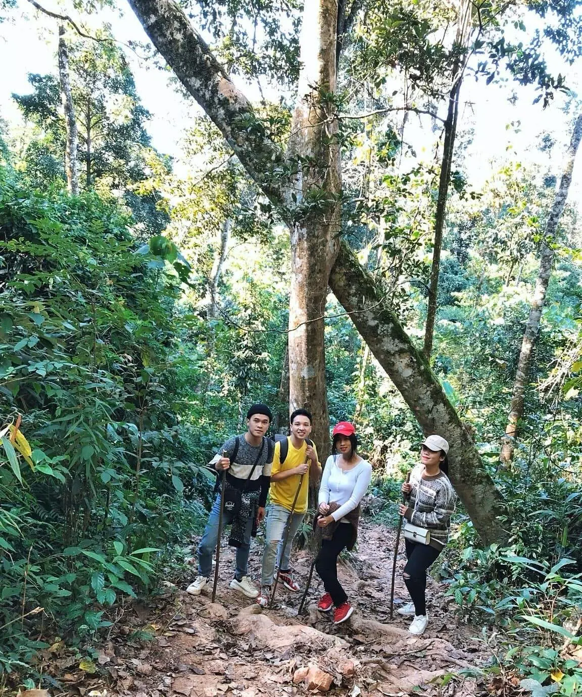Hướng dẫn chi tiết trekking săn m&acirc;y tr&ecirc;n đỉnh Pha Lu&ocirc;ng 4