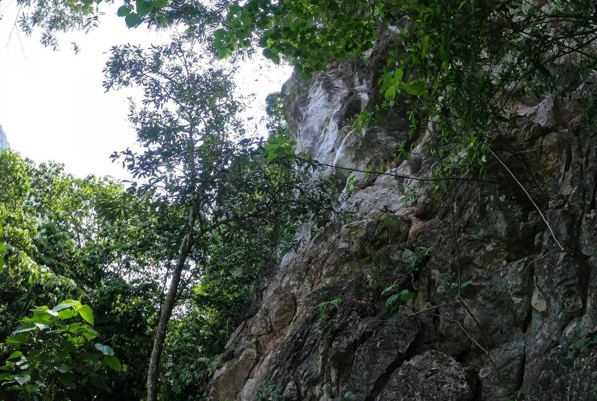 Khám phá những bí ẩn chưa có lời giải tại Hang Ma Suối Bàng 4
