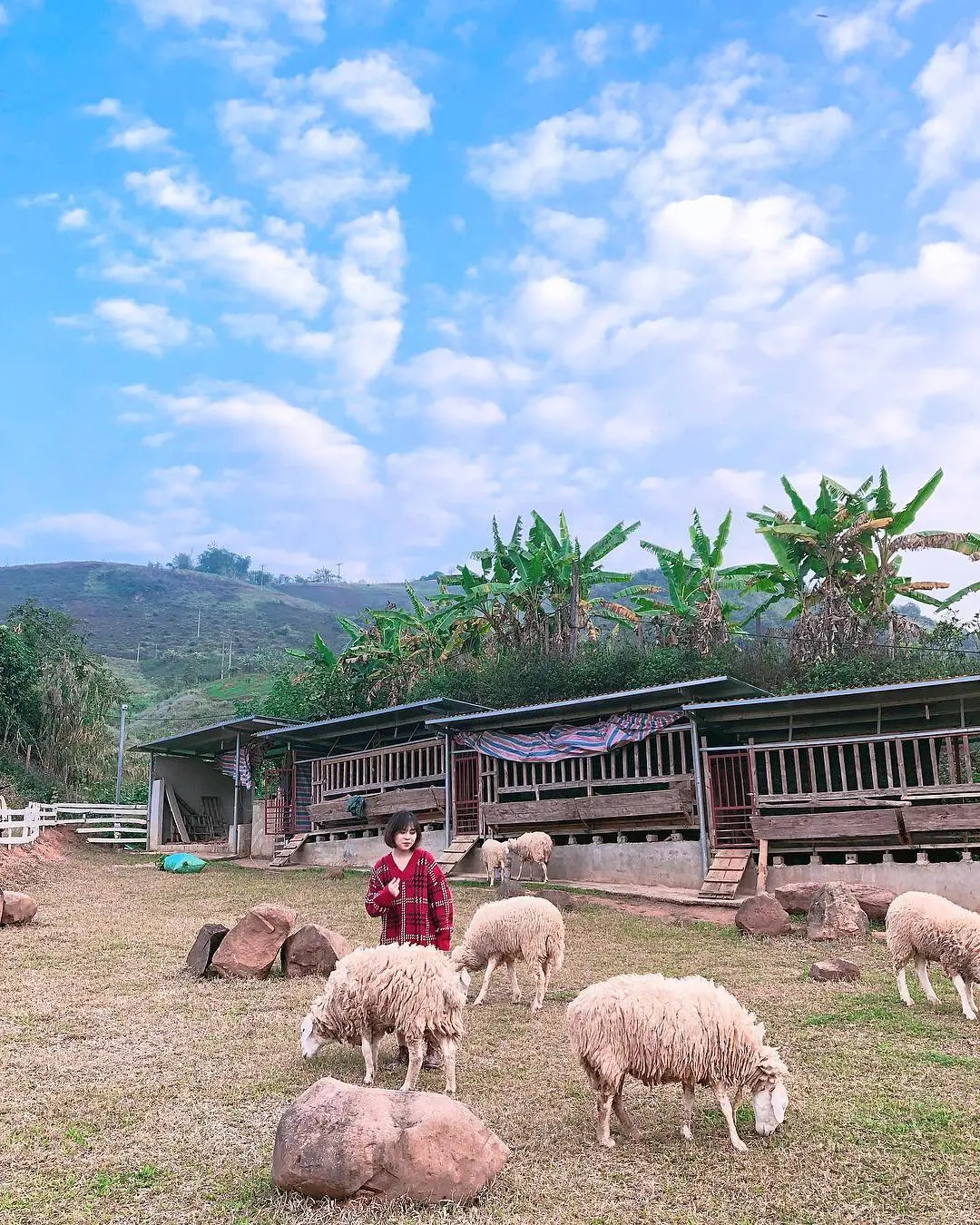 Kh&aacute;m ph&aacute; thi&ecirc;n đường vui chơi - Mộc Ch&acirc;u Happy Land 6