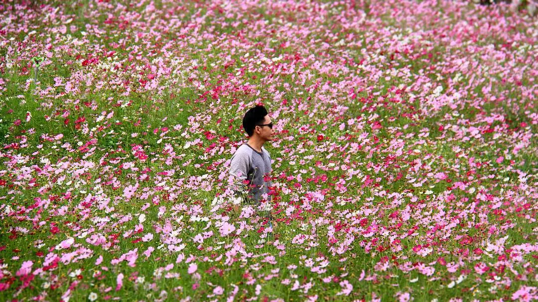 Kh&aacute;m ph&aacute; thi&ecirc;n đường vui chơi - Mộc Ch&acirc;u Happy Land 3