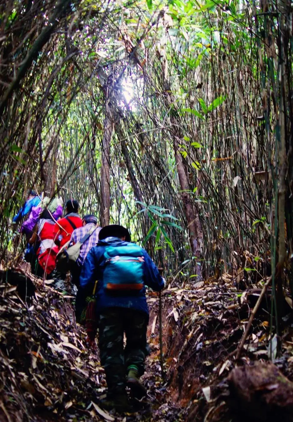 Kh&aacute;m ph&aacute; v&agrave; trải nghiệm Trekking săn m&acirc;y Mộc Ch&acirc;u 7