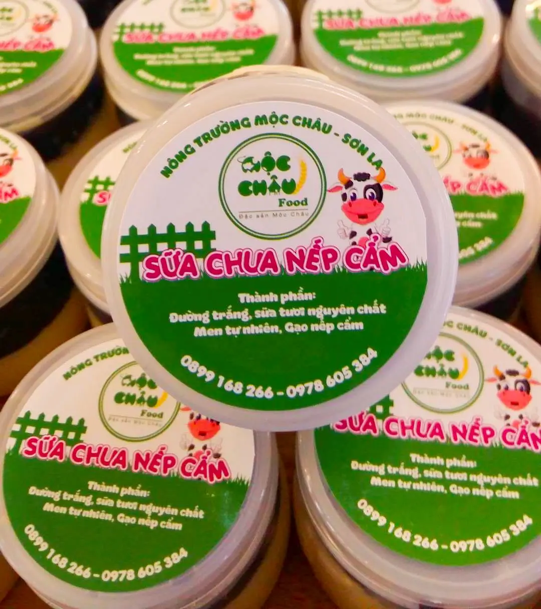 Kh&aacute;m ph&aacute; vẻ đẹp của Trang trại b&ograve; sữa Daily Farm Mộc Ch&acirc;u 5