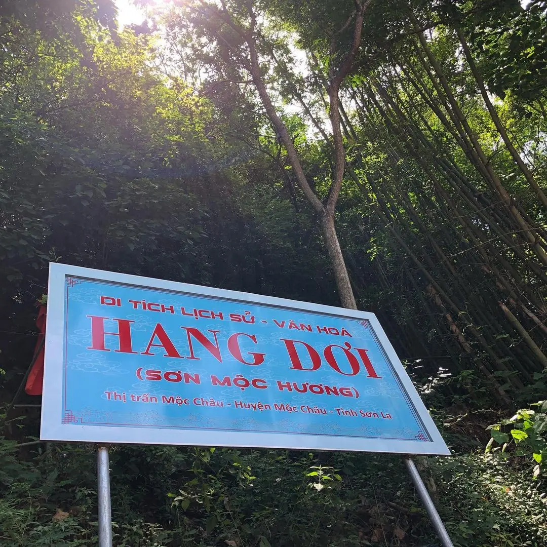 Th&aacute;m hiểm Hang Dơi Mộc Ch&acirc;u (Động Sơn Mộc Hương) &ndash; Hang động đẹp nhất T&acirc;y Bắc 2
