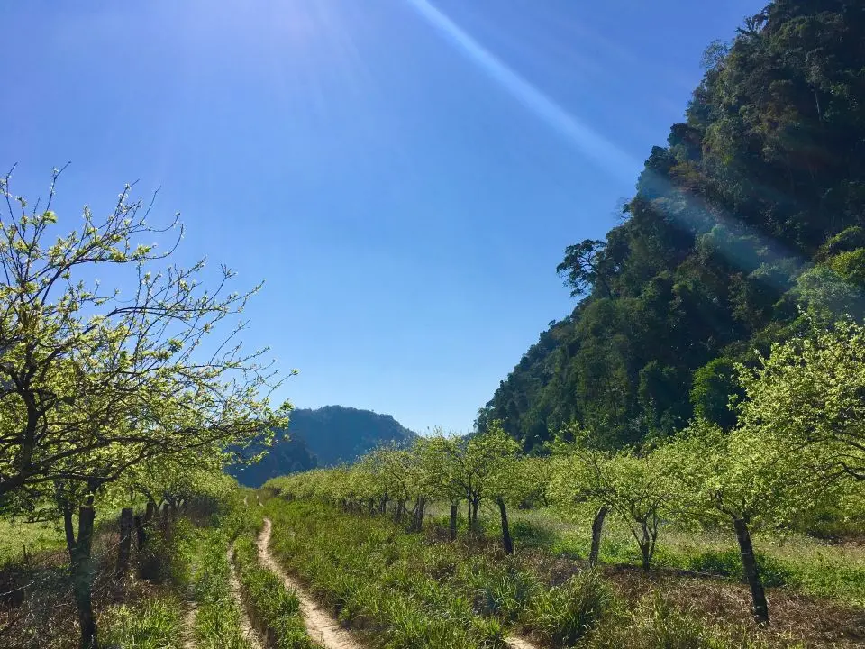 Trekking Mu N&aacute;u - Phi&ecirc;ng C&agrave;nh tr&ecirc;n n&oacute;c nh&agrave; Mộc Ch&acirc;u 2