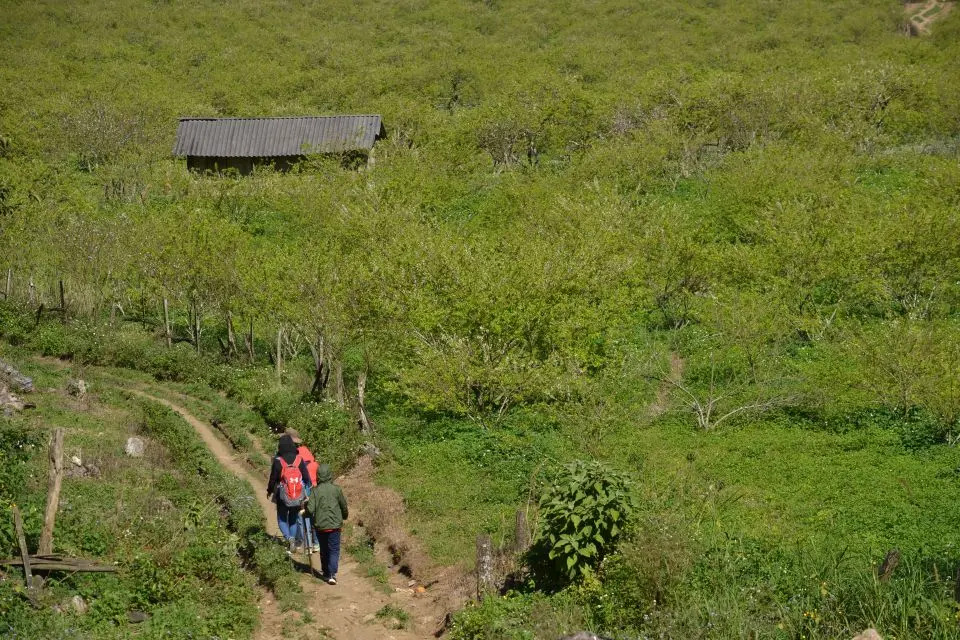 Trekking Mu N&aacute;u - Phi&ecirc;ng C&agrave;nh tr&ecirc;n n&oacute;c nh&agrave; Mộc Ch&acirc;u 4