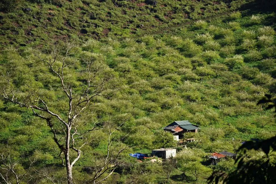 Trekking Mu N&aacute;u - Phi&ecirc;ng C&agrave;nh tr&ecirc;n n&oacute;c nh&agrave; Mộc Ch&acirc;u 8