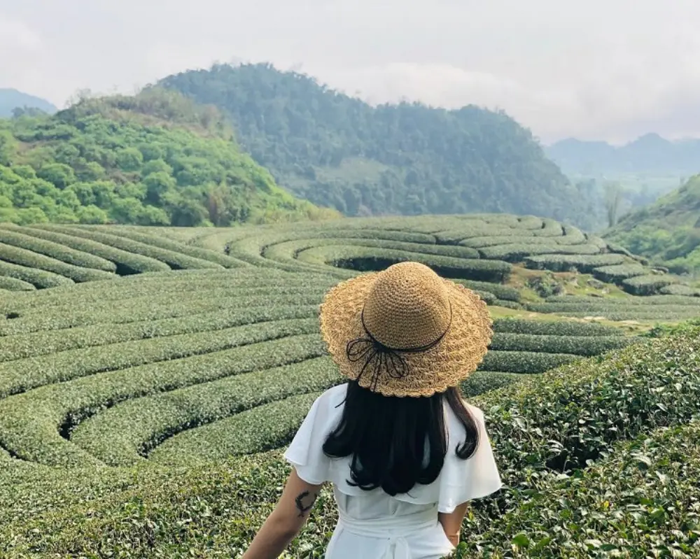 Vi vu check-in Đồi Chè Trái Tim Mộc Châu đầy thơ mộng 7