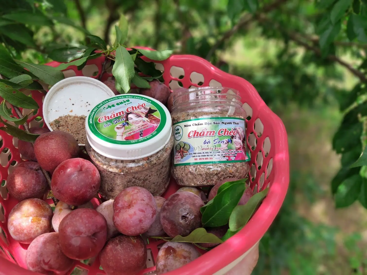 Chẩm ch&eacute;o Mộc Ch&acirc;u - Gia vị độc đ&aacute;o của n&uacute;i rừng T&acirc;y Bắc 9