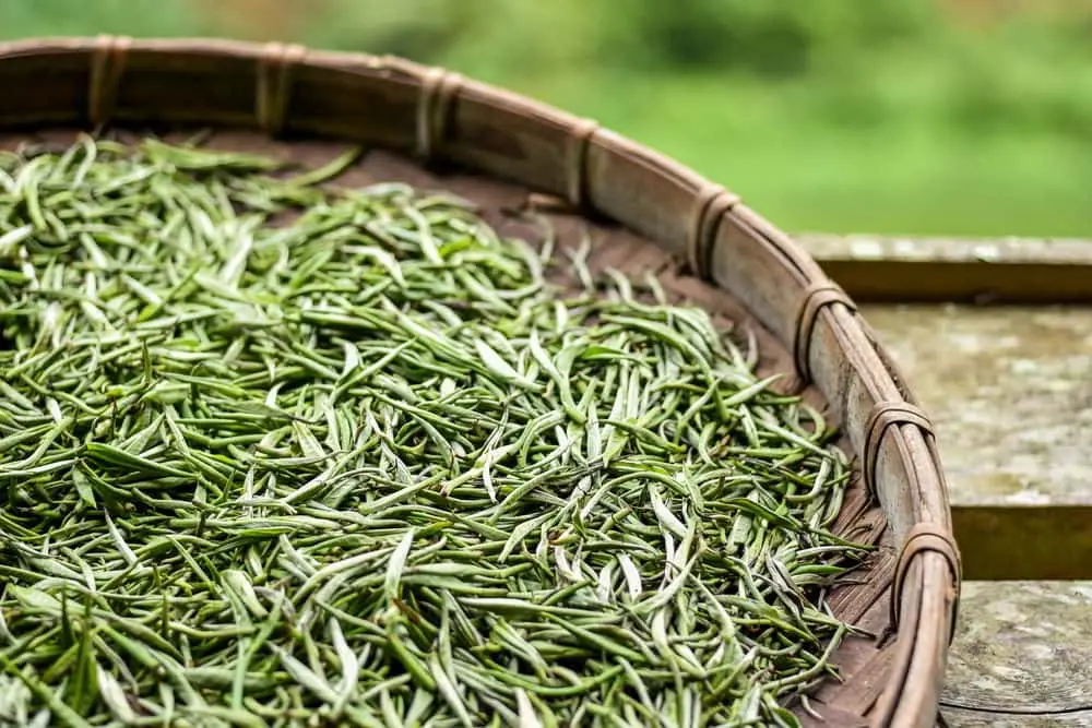 Đặc sản ch&egrave; xanh Mộc Ch&acirc;u &ndash; Tinh hoa của đất trời T&acirc;y Bắc 6