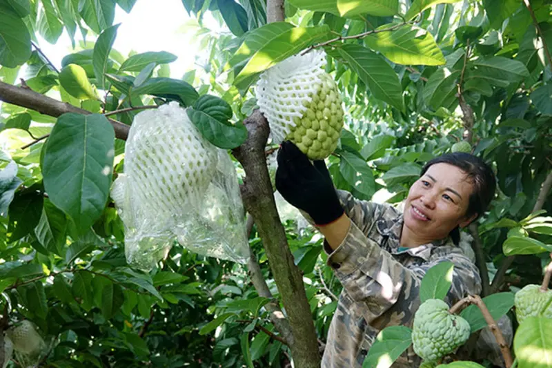Top 37 m&oacute;n đặc sản Sơn La g&oacute;i trọn hương vị n&uacute;i rừng T&acirc;y Bắc 15