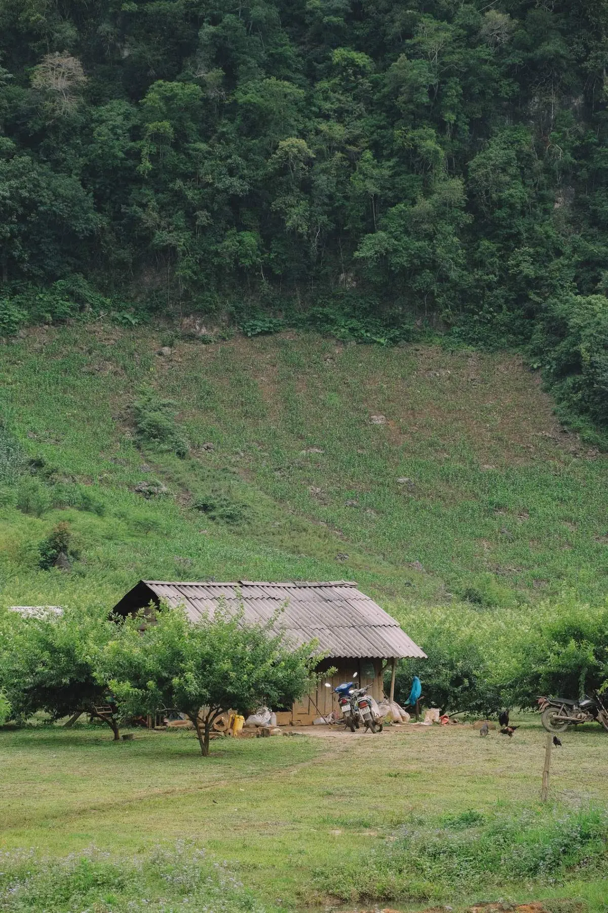 Bản l&agrave;ng Mộc Ch&acirc;u b&igrave;nh y&ecirc;n trong nắng sớm tr&ecirc;n v&ugrave;ng cao 4