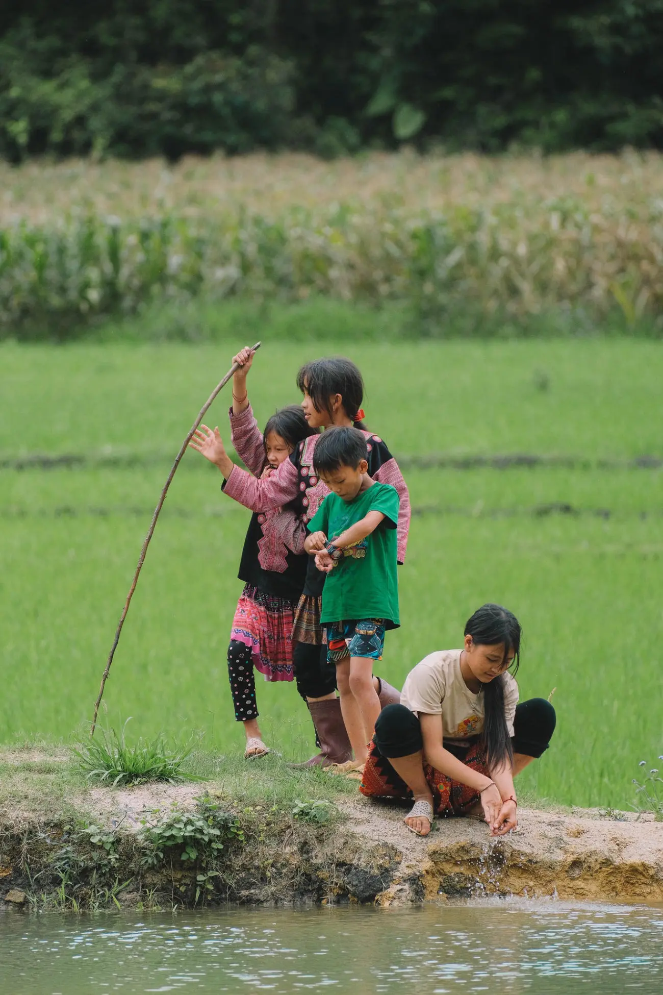 Bản l&agrave;ng Mộc Ch&acirc;u b&igrave;nh y&ecirc;n trong nắng sớm tr&ecirc;n v&ugrave;ng cao 8