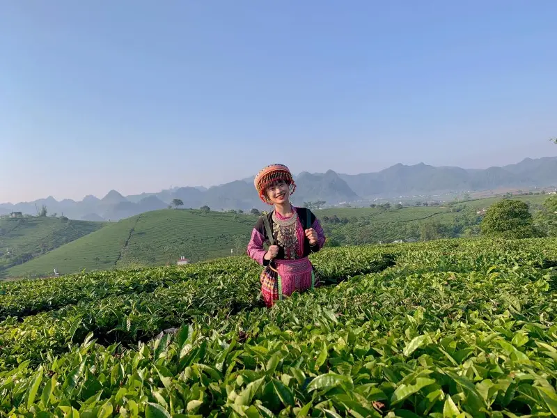 Check in Mộc Ch&acirc;u, dấu ấn nổi bật trong h&agrave;nh tr&igrave;nh tuổi trẻ 9