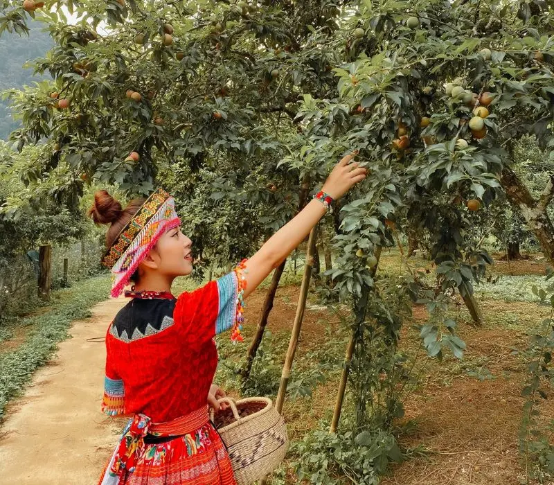 Du lịch Sơn La m&ugrave;a h&egrave;, b&iacute; k&iacute;p chinh phục v&ugrave;ng đất sương m&ugrave; 6
