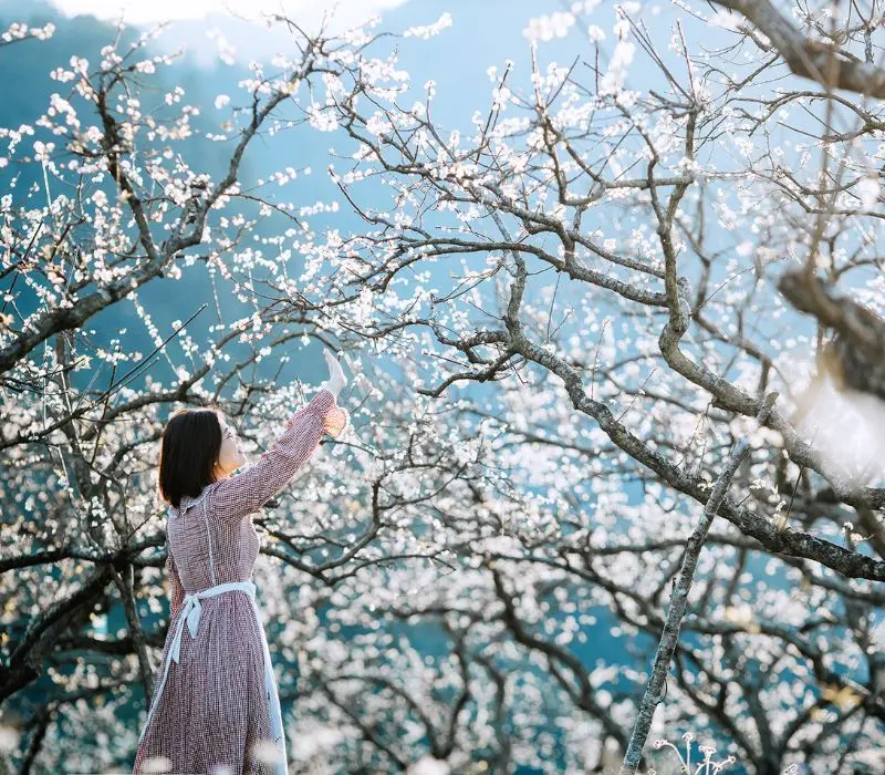Du lịch Sơn La m&ugrave;a h&egrave;, b&iacute; k&iacute;p chinh phục v&ugrave;ng đất sương m&ugrave; 2