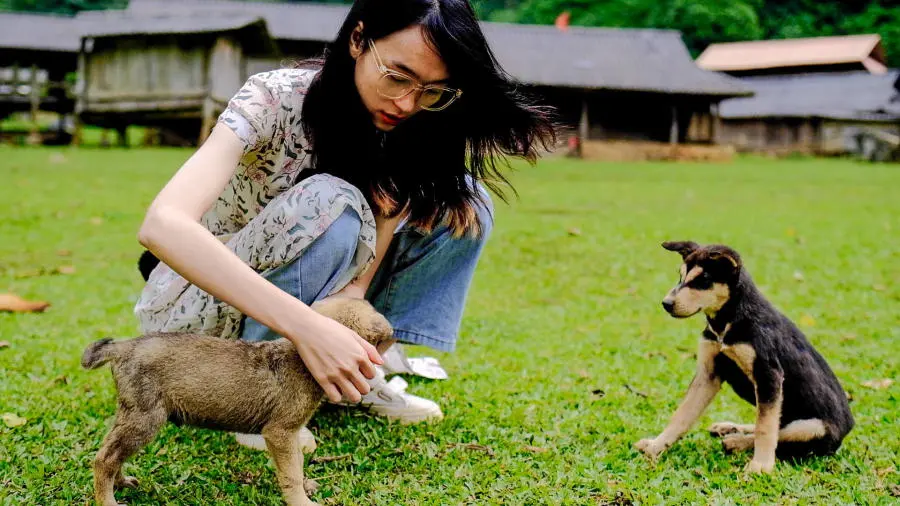 Kh&aacute;m ph&aacute; Hang T&aacute;u thay đổi như thế n&agrave;o sau hai năm quay trở lại đ&acirc;y 2