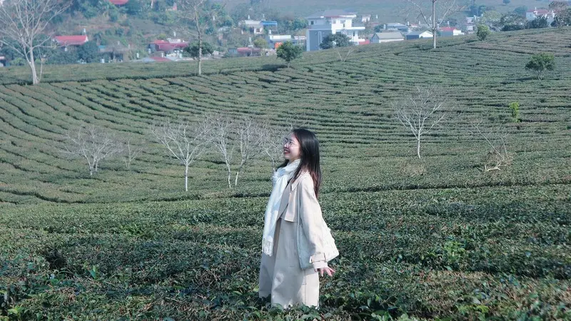 Kinh nghiệm khám phá Cao nguyên Mộc Châu với vẻ đẹp thanh bình 6